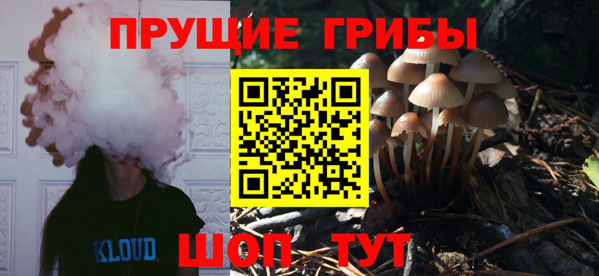 купить наркотик  Вход с VPN  Псилоцибиновые грибы Magic Shrooms  Учалы  Галлюциногенные грибы GOLDEN TEACHER 